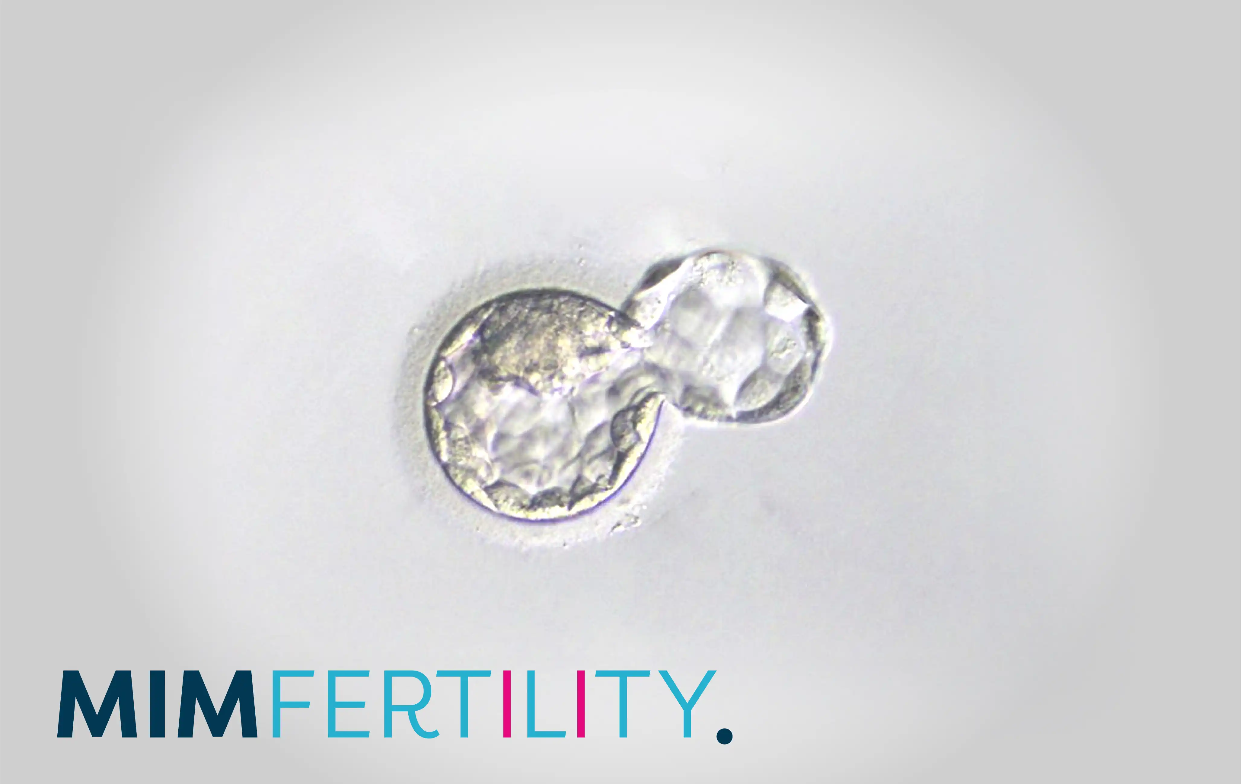 EMBRYOAID